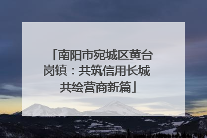 南阳市宛城区黄台岗镇：共筑信用长城 共绘营商新篇