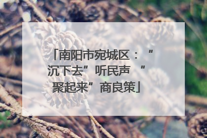 南阳市宛城区：“沉下去”听民声 “聚起来”商良策
