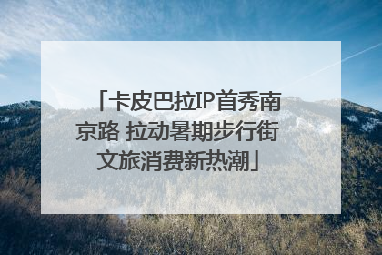 卡皮巴拉IP首秀南京路 拉动暑期步行街文旅消费新热潮