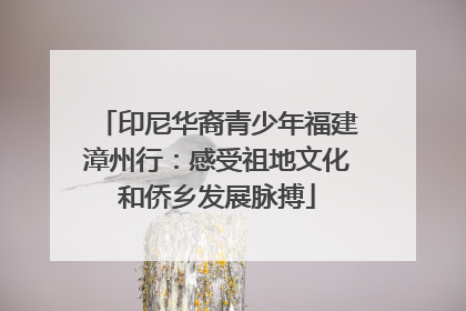 印尼华裔青少年福建漳州行：感受祖地文化和侨乡发展脉搏