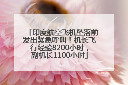 印度航空飞机坠落前发出紧急呼叫！机长飞行经验8200小时，副机长1100小时