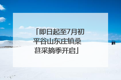 即日起至7月初 平谷山东庄镇桑葚采摘季开启