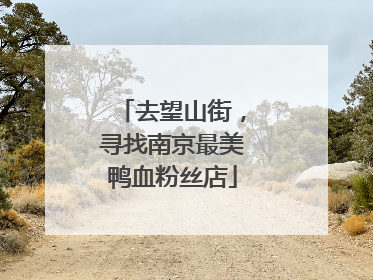 去望山街，寻找南京最美鸭血粉丝店