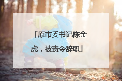 原市委书记陈金虎，被责令辞职