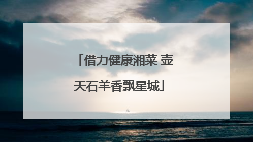 借力健康湘菜 壶天石羊香飘星城