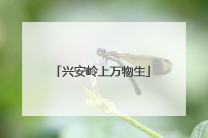 兴安岭上万物生