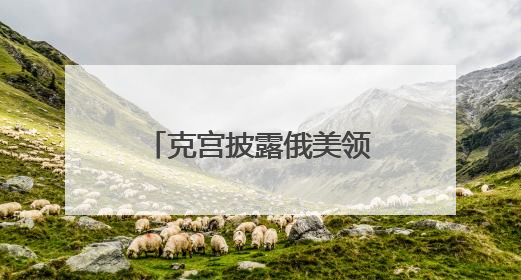 克宫披露俄美领导人通话细节：普京听得懂特朗普讲话，在翻译前就理解了他的意思