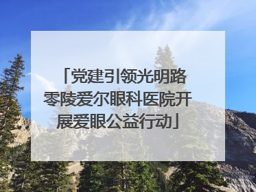 党建引领光明路 零陵爱尔眼科医院开展爱眼公益行动