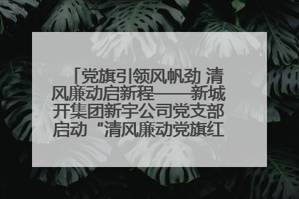 党旗引领风帆劲 清风廉动启新程——新城开集团新宇公司党支部启动“清风廉动党旗红”系列活动