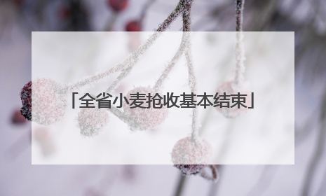 全省小麦抢收基本结束