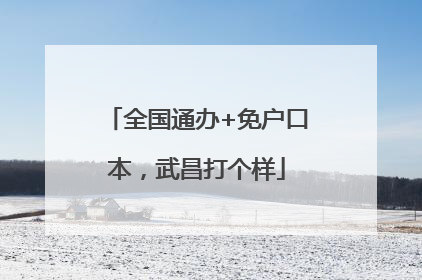 全国通办+免户口本，武昌打个样
