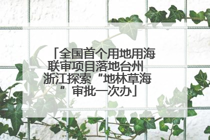 全国首个用地用海联审项目落地台州 浙江探索“地林草海”审批一次办