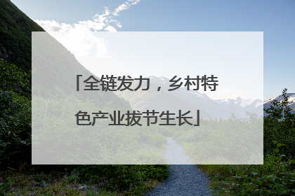 全链发力，乡村特色产业拔节生长