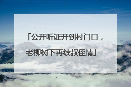 公开听证开到村门口，老柳树下再续叔侄情