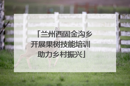 兰州西固金沟乡开展果树技能培训 助力乡村振兴