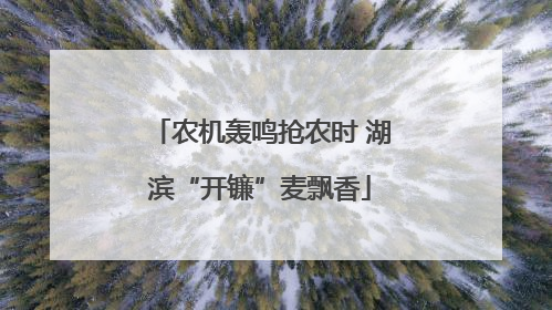 农机轰鸣抢农时 湖滨“开镰”麦飘香