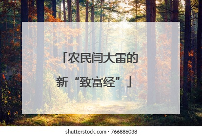 农民闫大雷的新“致富经”