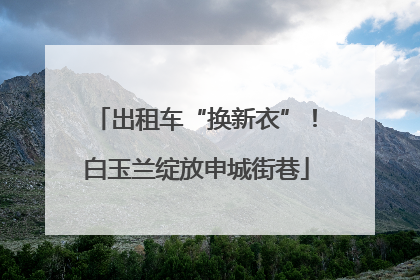 出租车“换新衣”！白玉兰绽放申城街巷