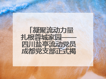 凝聚流动力量 扎根蓉城家园——四川盐亭流动党员成都党支部正式揭牌成立