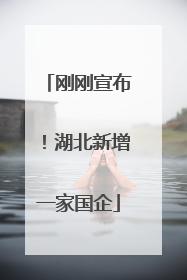 刚刚宣布！湖北新增一家国企