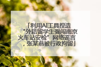 利用AI工具捏造 “外籍留学生强闯南京火车站安检”网络谣言，张某燕被行政拘留