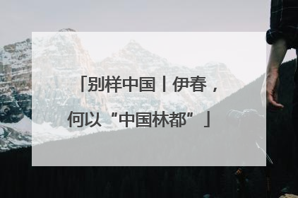 别样中国丨伊春，何以“中国林都”