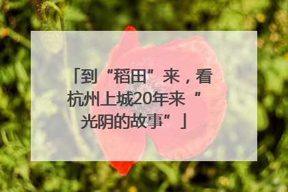 到“稻田”来，看杭州上城20年来“光阴的故事”