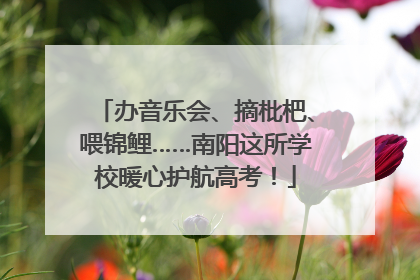 办音乐会、摘枇杷、喂锦鲤……南阳这所学校暖心护航高考！