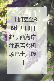 加密至36班！即日起，西海岸往返青岛机场巴士升级