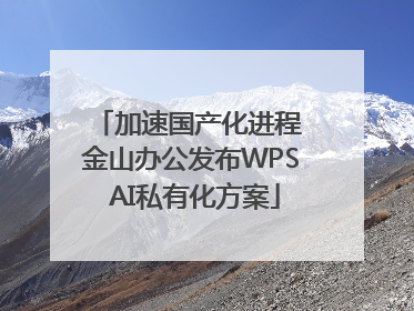 加速国产化进程 金山办公发布WPS AI私有化方案