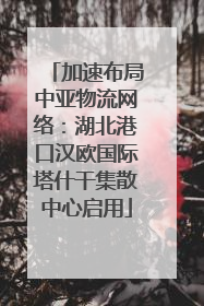 加速布局中亚物流网络：湖北港口汉欧国际塔什干集散中心启用