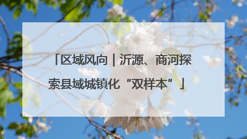 区域风向｜沂源、商河探索县域城镇化“双样本”
