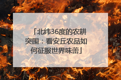 北纬36度的农耕突围：看安丘农品如何征服世界味蕾
