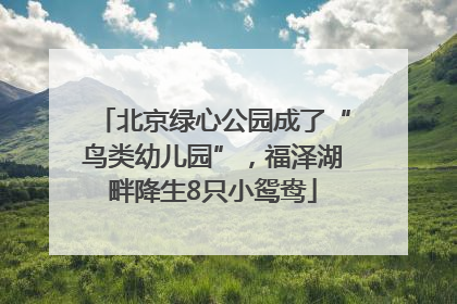 北京绿心公园成了“鸟类幼儿园”，福泽湖畔降生8只小鸳鸯