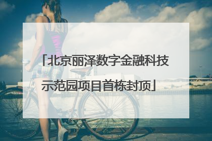 北京丽泽数字金融科技示范园项目首栋封顶