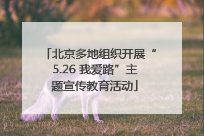 北京多地组织开展“5.26 我爱路”主题宣传教育活动