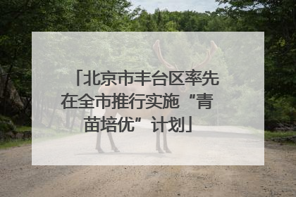 北京市丰台区率先在全市推行实施“青苗培优”计划