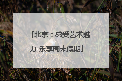 北京：感受艺术魅力 乐享周末假期