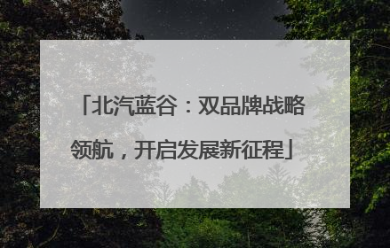 北汽蓝谷：双品牌战略领航，开启发展新征程