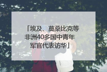 埃及、莫桑比克等非洲40多国中青年军官代表访华