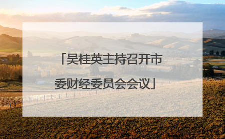 吴桂英主持召开市委财经委员会会议
