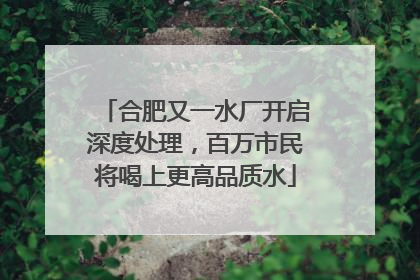 合肥又一水厂开启深度处理，百万市民将喝上更高品质水