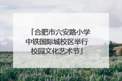 合肥市六安路小学中铁国际城校区举行校园文化艺术节