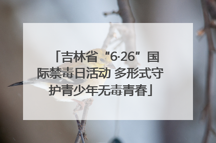吉林省“6·26”国际禁毒日活动 多形式守护青少年无毒青春
