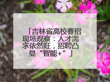 吉林省高校春招现场观察：人才需求依然旺，招聘凸显“智能+”