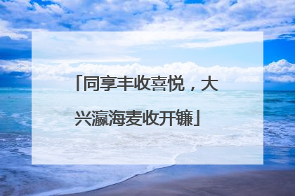 同享丰收喜悦，大兴瀛海麦收开镰