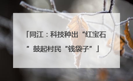 同江：科技种出“红宝石”鼓起村民“钱袋子”