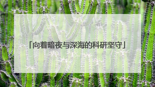 向着暗夜与深海的科研坚守