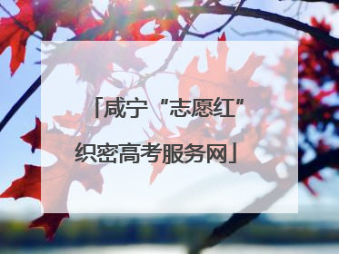 咸宁“志愿红”织密高考服务网