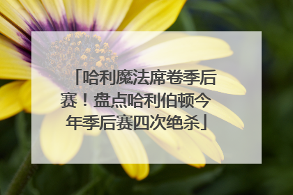 哈利魔法席卷季后赛！盘点哈利伯顿今年季后赛四次绝杀
